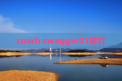 coach swagger21铆钉